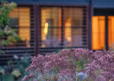 exterior photo of Prospect Street at sunset