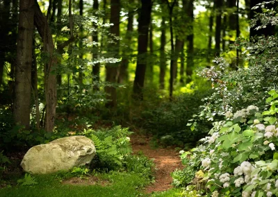 exterior photo of wooden trails