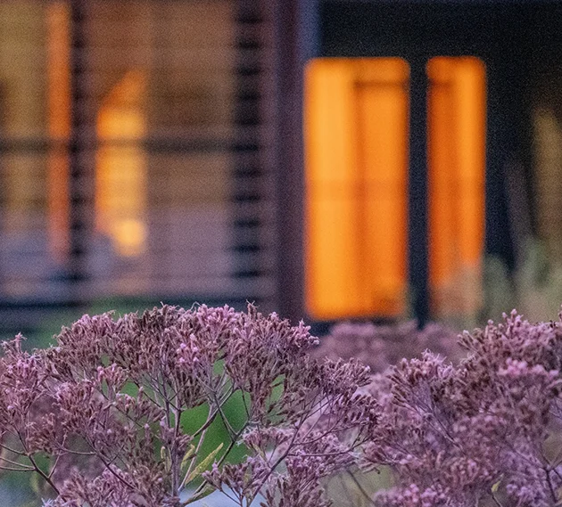 Flowers in front of building at dusk